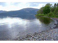 parc-naturel-trossachs-00010-vignette.gif