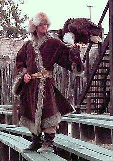 Falconer with a bald eagle