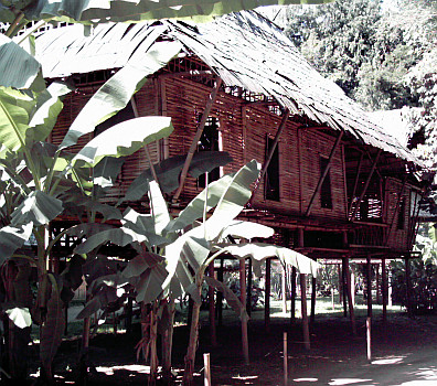Reconstitution de maison en bambous