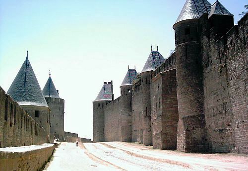Lice dans la cité de Carcassonne