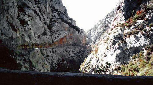 Corniche des gorges de Galamus