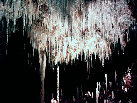 Grotte de Clamouse - Fistuleuses