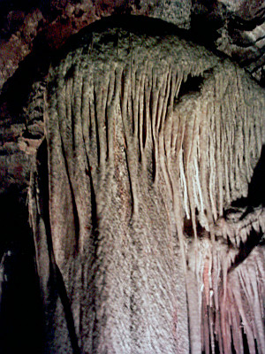 Grotte de Clamouse - Grande méduse