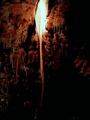 Grotte de Clamouse - Stalagtite