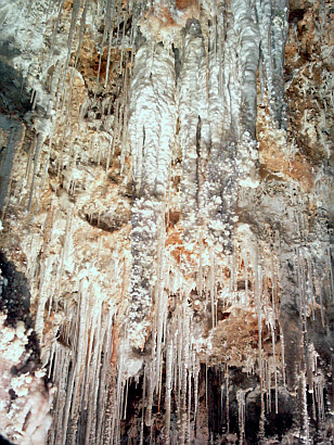 Grotte de Clamouse - Cristaux d'aragonites sur stalagtites