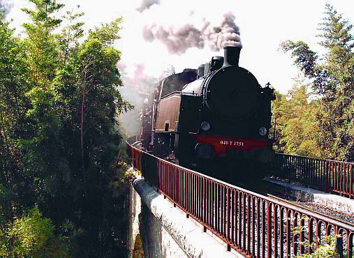 Train à vapeur des Cévennes entrant à l'arrêt de la bambouseraie d'Anduze