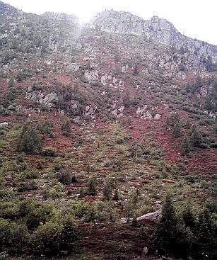 Alpes - Réserve naturelle des aiguilles rouges