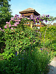 yvoire-00080-vignette.jpg