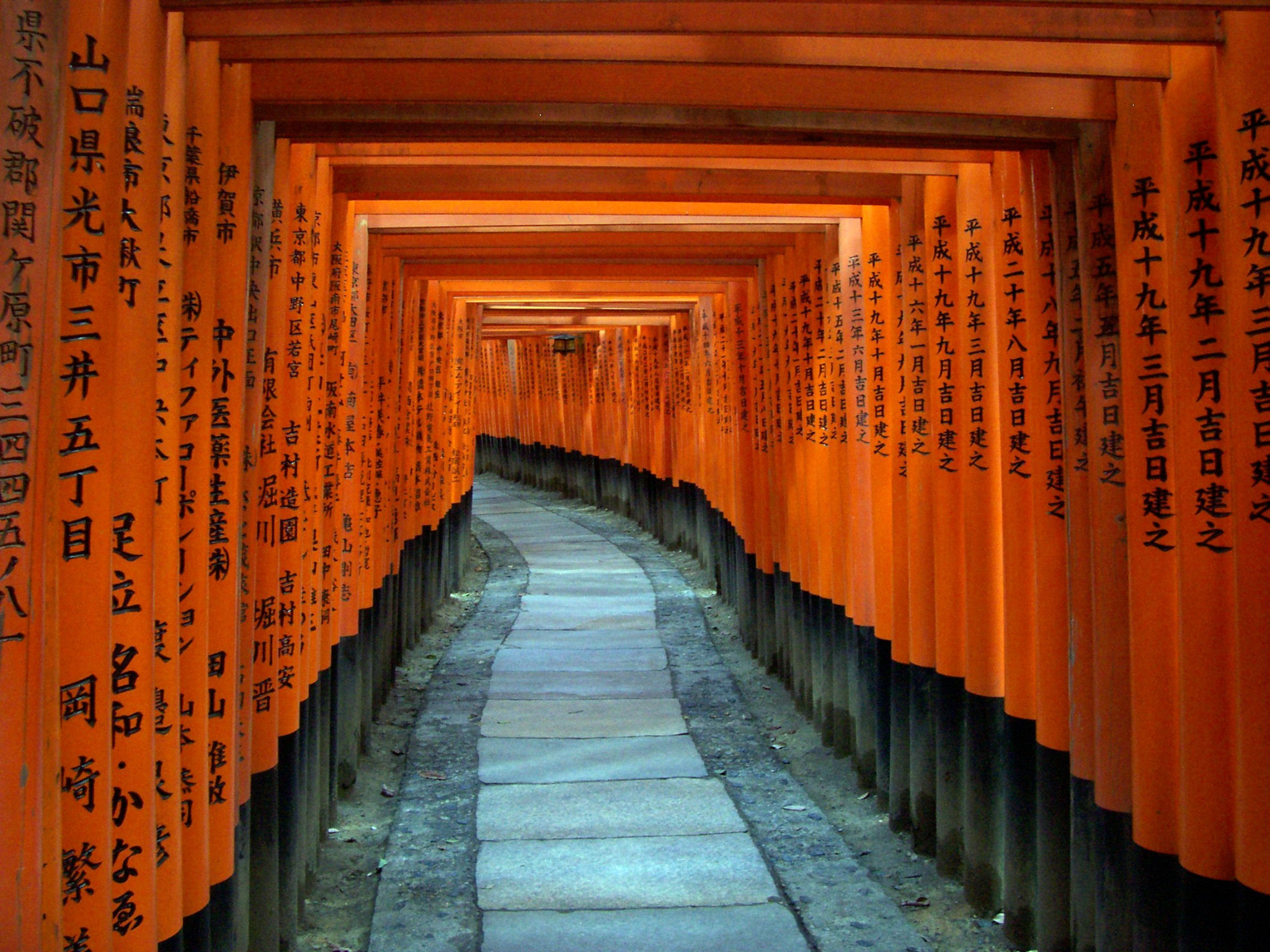 Toriis au sanctuaire Fushimi Inari de Kyoto